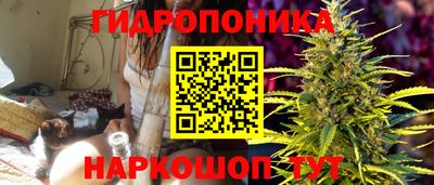 соль ск Кулебаки