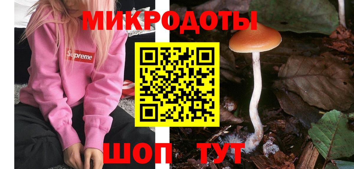 Елабуга  Галлюциногенные грибы мухоморы  Псилоцибиновые грибы MAGIC MUSHROOMS  Вход с VPN 