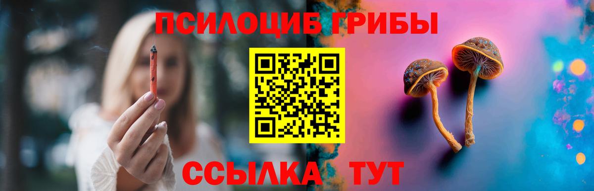 Псилоцибиновые грибы прущие грибы Елабуга